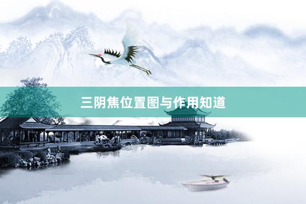 三阴焦位置图与作用知道