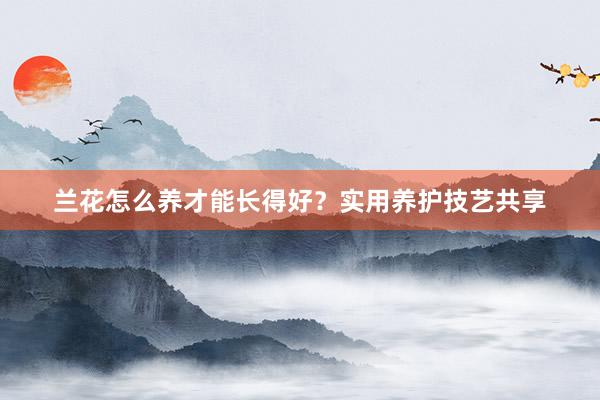 兰花怎么养才能长得好？实用养护技艺共享