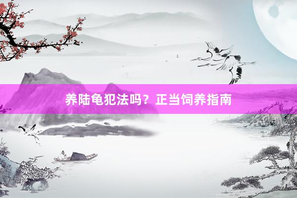 养陆龟犯法吗？正当饲养指南